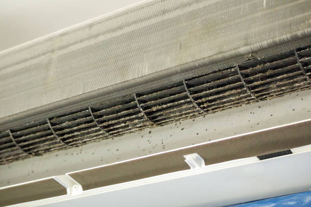 Best Affordable Air Duct Cleaning  in Eastern Goleta Valley, CA